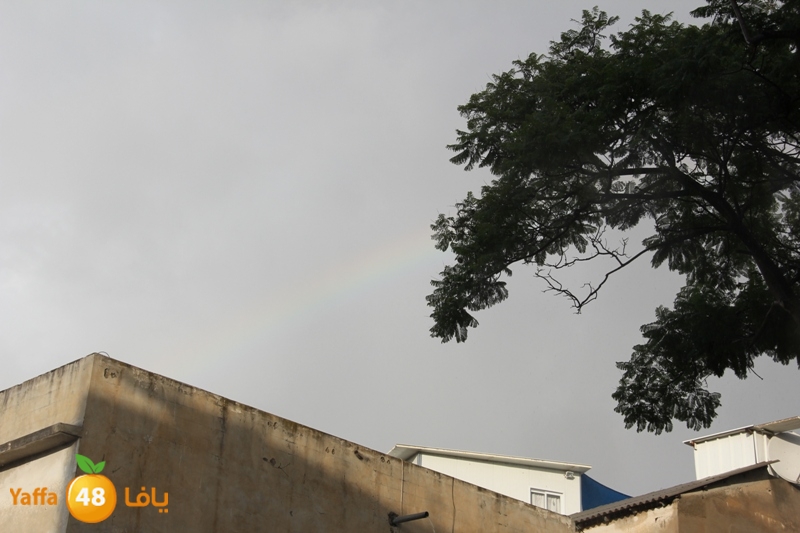 rain in yaffa921 (9).JPG